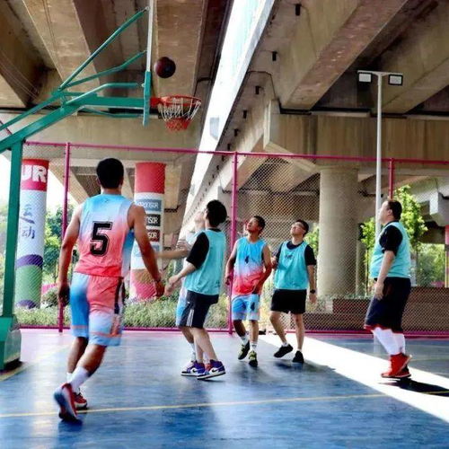 大桥下的亲子时光 遛娃与健身的休闲新选择