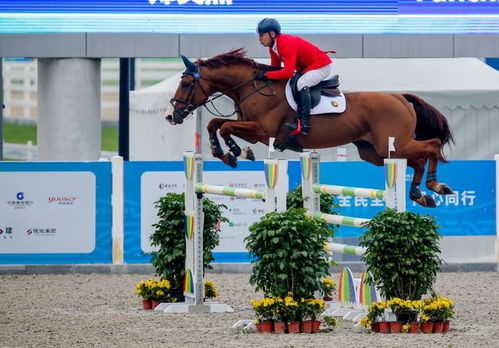 马术与全民健身 在优雅与活力间擦出别样火花